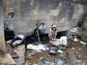 Solutions from Below (film review)